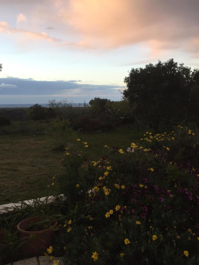 Mareulivi Bed & Breakfast Ostuni Luaran gambar